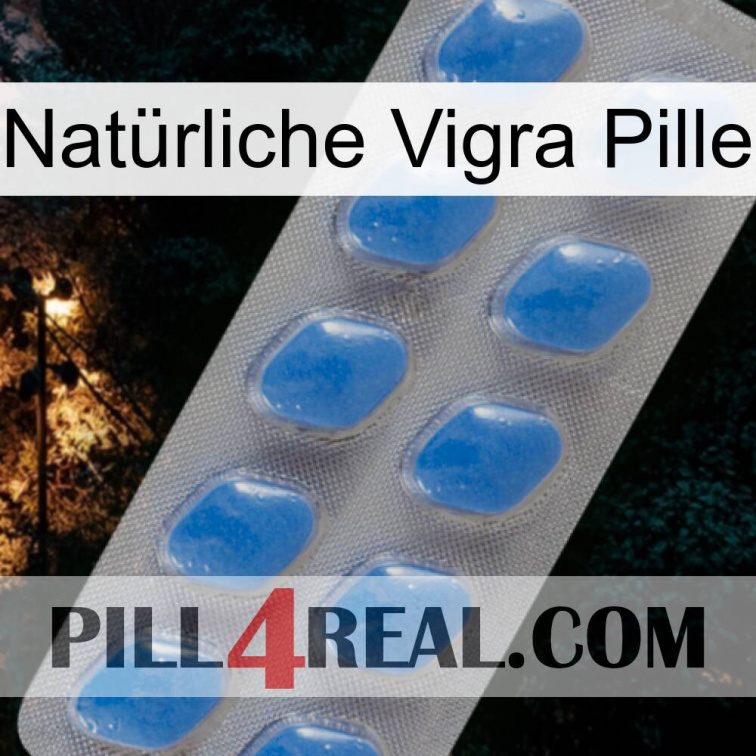 Natürliche Vigra Pille 22